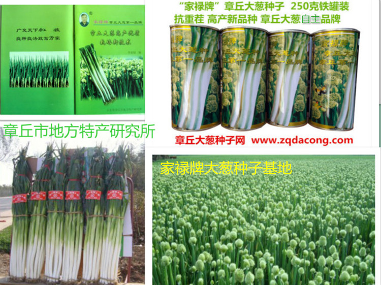 conew_snc10263[1]_meitu_1_副本.jpg