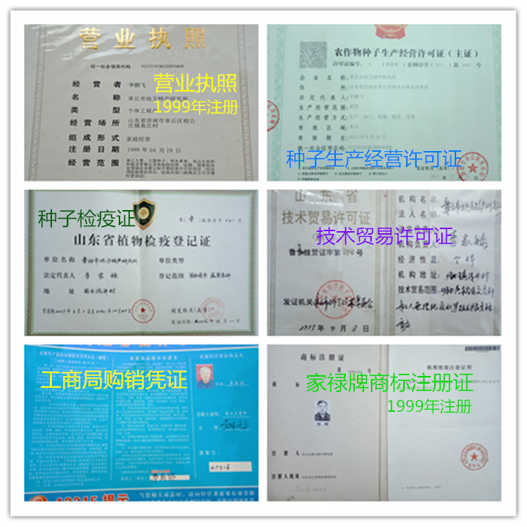 种子生产经营许可证六证